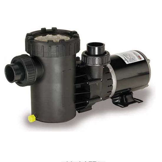 Speck 1 1/2 HP 115 V E71 Vert Disch Pump Special Rated Abg W/ 3' Nema Cord 1 1/2-Inch Skt Unions
