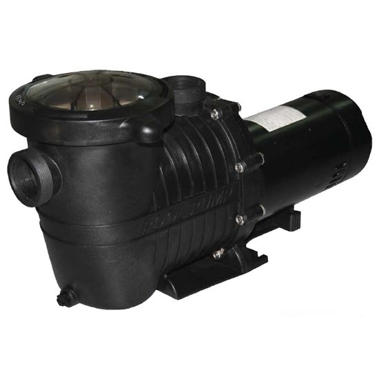 Tianjin Pool & Spa Corporation 1 HP 115 V Pool Line Swimming Pool Pump Ig Self Priming 1 1/2-Inch Fpt