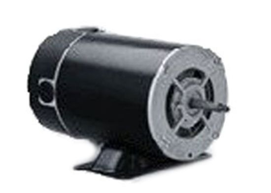 Nidec Motor Corporation 1 HP Thru Bolt Spa & A/G Pool 115 Volt Motor - AGL10FL1