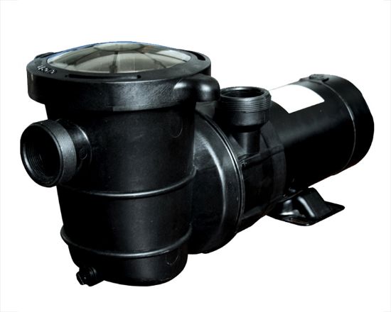 Tianjin Pool & Spa Corporation 1 1/2 HP 115 V Pooline Pump Abg 3' Cord 1 1/2-Inch Fpt