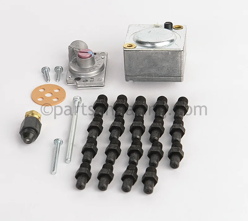 Raypak004690BGas Conversion Natural to Propane Millivolt Pilot