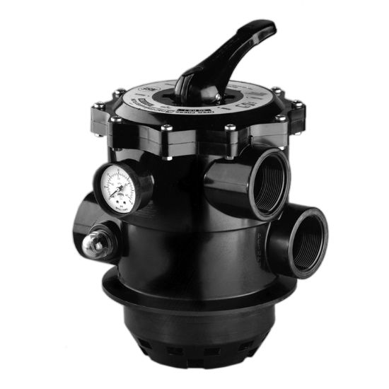 Pentair 1 1/2IN Fpt Tagelus Ta To Ta D Mp Bw Valve Conversion Kit W/ Adapter Ring Top Mnt 6 Pos - 262505
