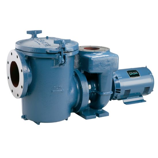 Pentair 10 HP 220 V 240 V 380 V 415 V Pump 3 Ph Commercial Ig 50 HZ 6-Inch X 4-Inch Flange Epoxy Coated Cast - 5CCSPHL3-144