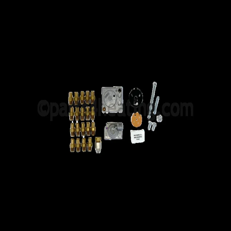 Raypak005319FPropane to Natural Gas Conversion Kit for Main Valve Pilot