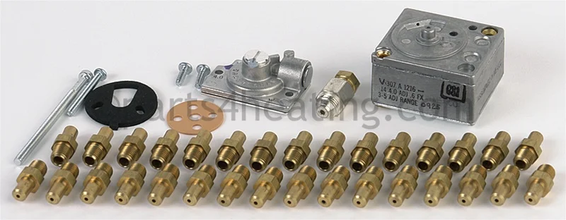 Raypak005320FPropane to Natural Gas Conversion Kit for Main Valve Pilot