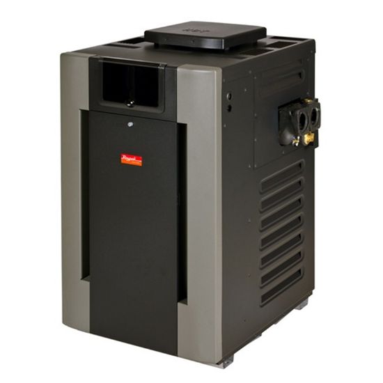 Raypak 199K Btu Asme Nat In / Outdoor Heater Ig Comm Glass Lined Cast Iron Headers W/ Digital Lcd - 9268