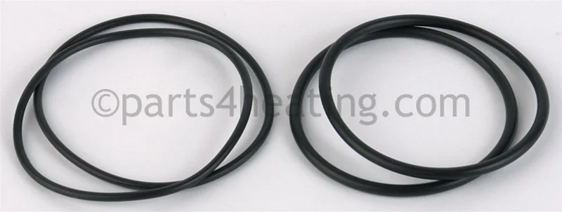 Raypak006724FO Ring (2)