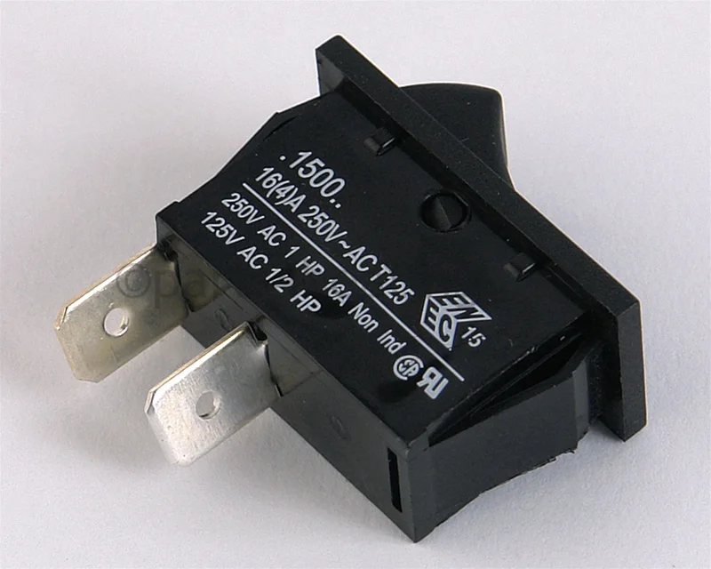 Raypak006872FRocker Switch (Burner/Pump)