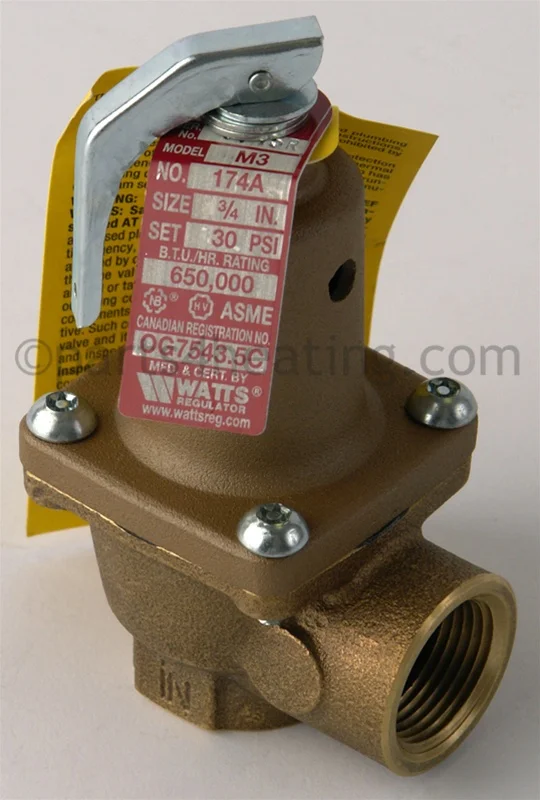 Raypak007217FPressure Relief Valve 30 PSI Kit