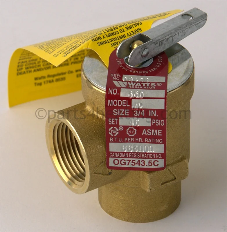 Raypak007220FPressure Relief Valve 45 PSI Kit