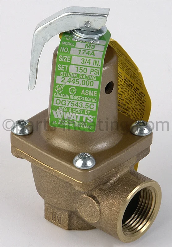 Raypak007225FPressure Relief Valve 150 PSI Kit