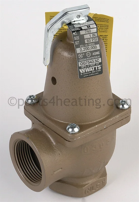 Raypak007754FPressure Relief Valve 60 PSI