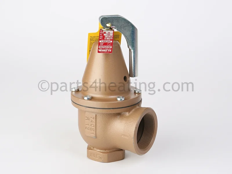 Raypak008088FPressure Relief Valve 30 PSI Kit