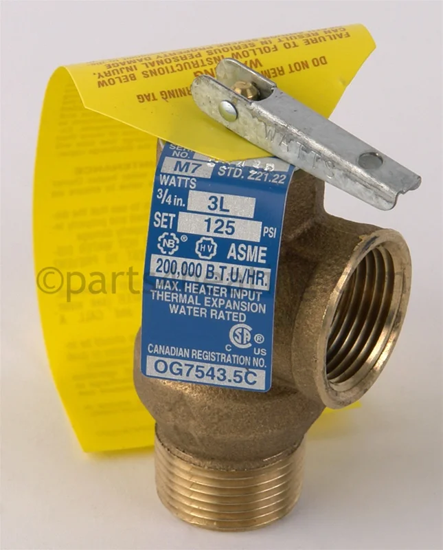 Raypak008091FPressure Relief Valve 125 PSI