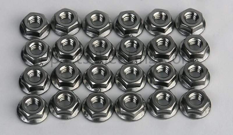 Raypak008259FFlange Nut Kit