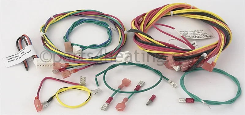 Raypak009490FWire Harness Intermittent Pilot Ignition IID