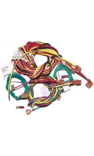 Raypak Wire / Harness, IID - 009490F