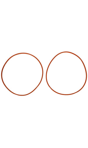 Raypak O-Ring Gasket (2 Pack) - 011600F