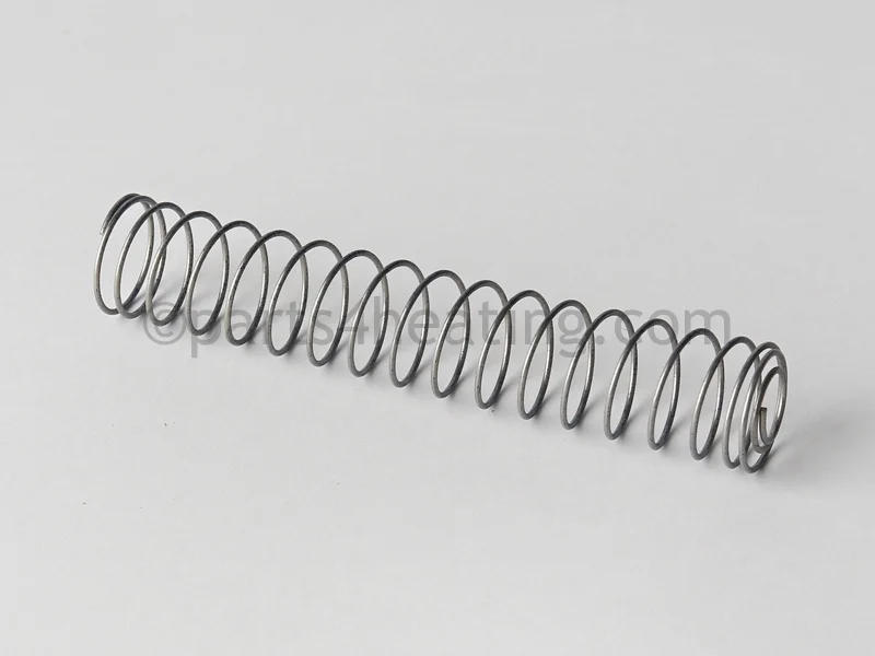 Raypak011602FBypass Spring Kit