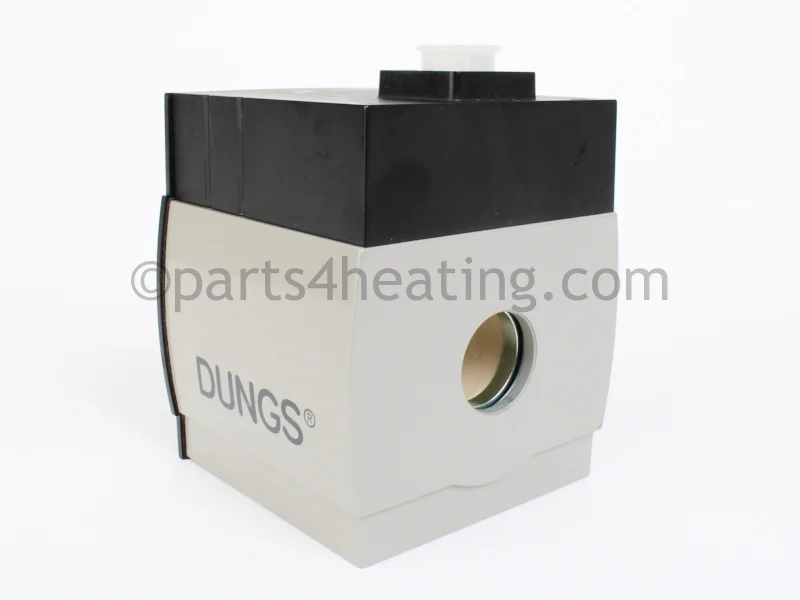 Raypak012311FValve Coil Natural Gas