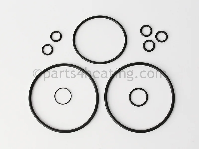 Raypak012441FO-Rings (Includes Gas Valve And Adapter O-Rings)