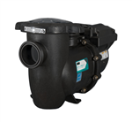 Starite Intellipro Variable Speed Pool Pump 013075
