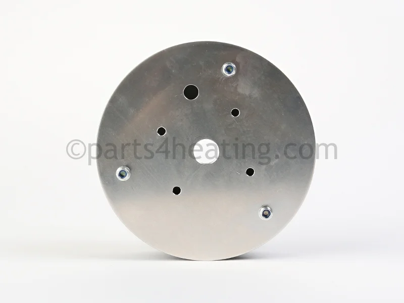 Raypak013202FSwirler Kit