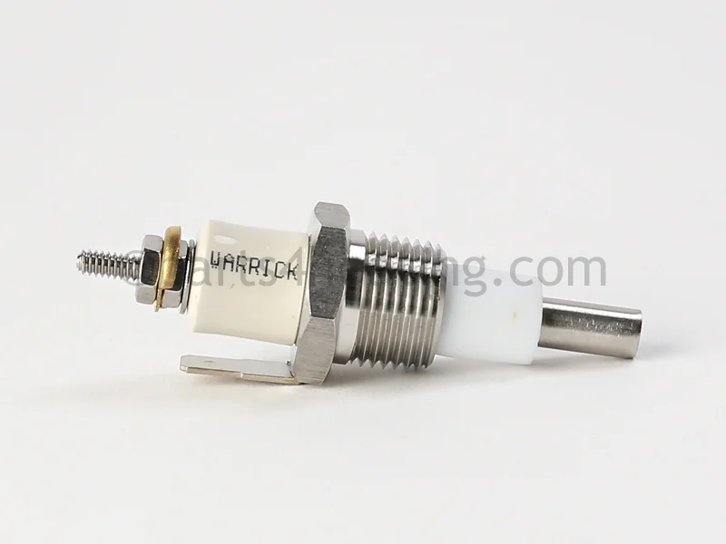 Raypak013238FCondensate Overflow Probe