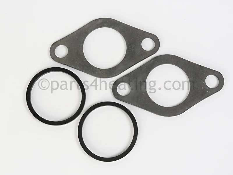 Raypak013423FPump Flange Gasket Kit 2-Bolt