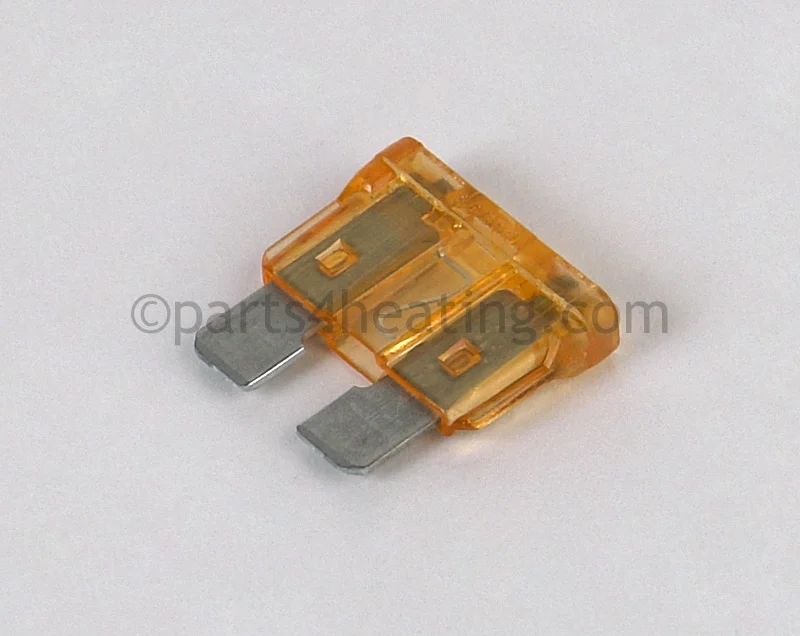 Raypak013733FFuse 5 AMP PC Board