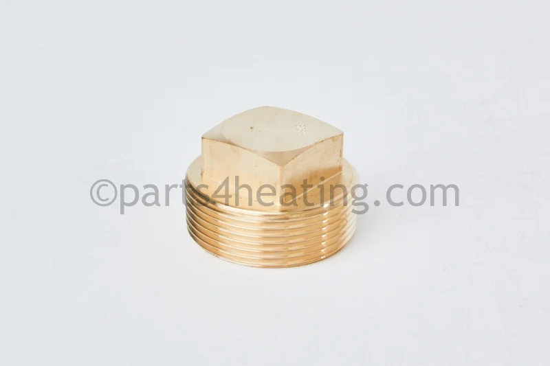 Raypak013738FUnderground Plug