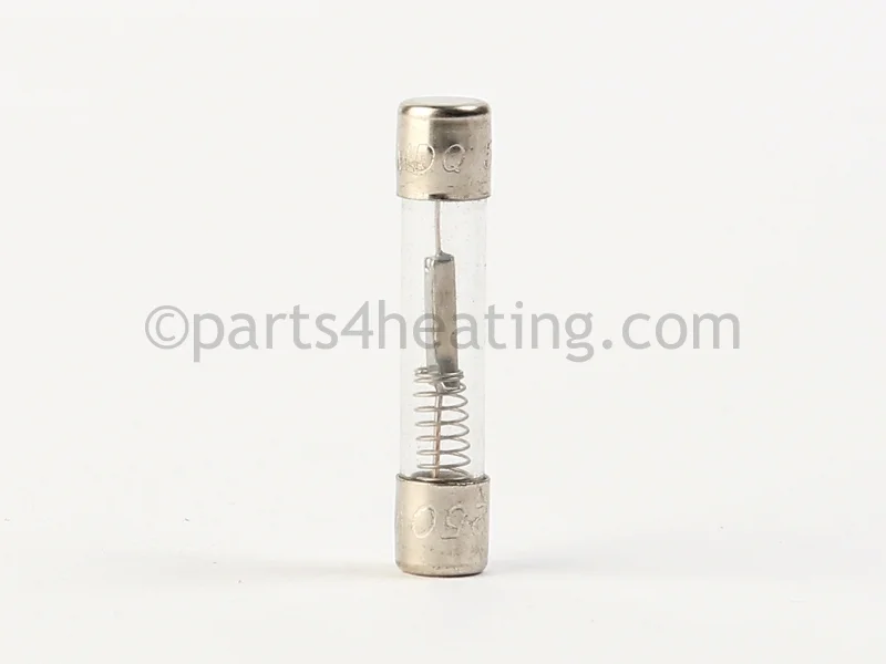 Raypak013972F5 AMP Slow Blow Fuse for Pump