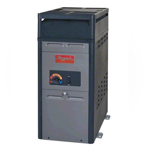 Raypak 105,000 BTU Heater 014782 - Propane