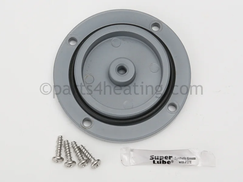 Raypak015462FBypass Cap
