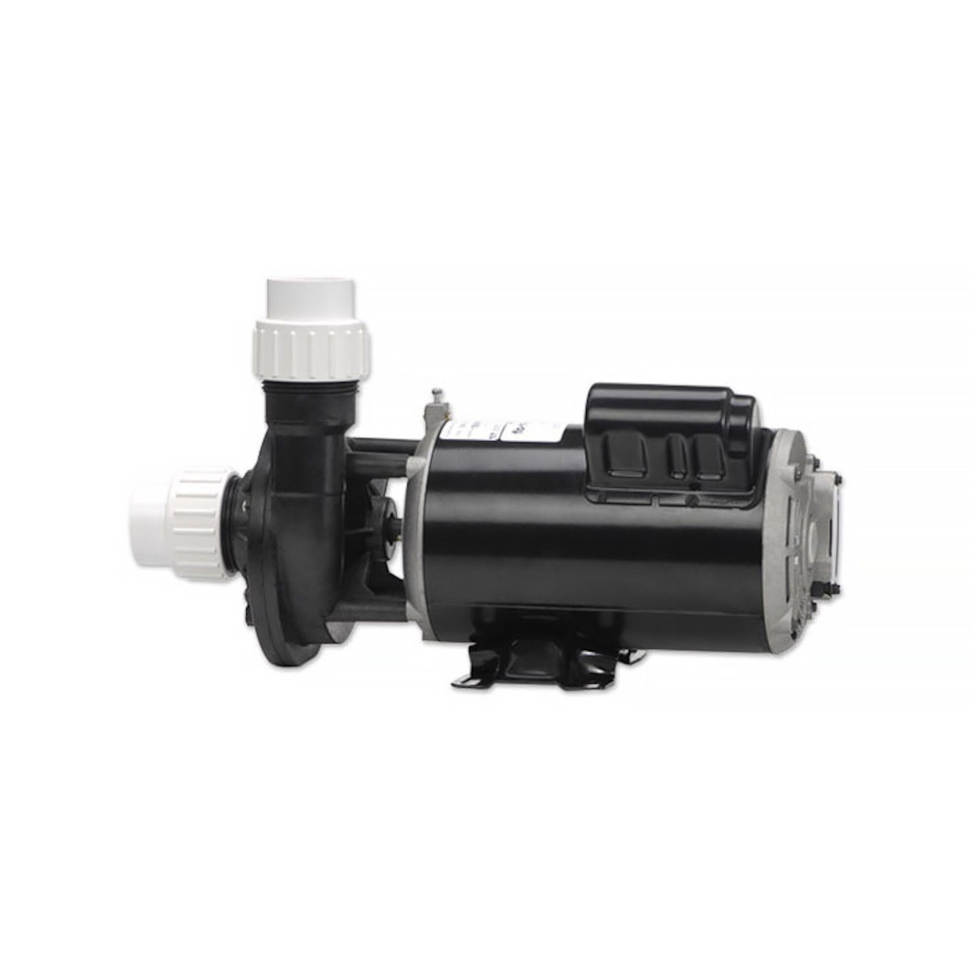 2 HP Gecko Aqua-Flo FMHP Spa Pump 2 Speed 230V 02120000-1010