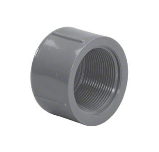 LASCO 1.25IN Fpt Cap Schedule 80 Gray - 848-012