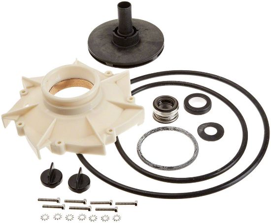 Pentair 1 1/2Hp Sta-Rite Overhaul Kit Dyna-Glas - PP3012