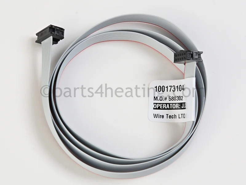 Lochinvar100208638Ribbon Cable