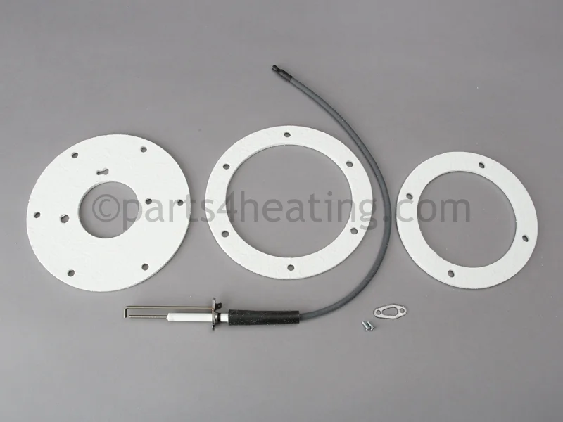 A.O. Smith100271888Spark Igniter Assembly Straight With Burner Gasket