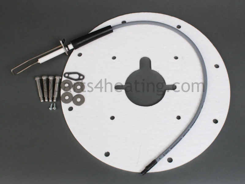 A.O. Smith100271889Spark Igniter Assembly Angled With Gaskets