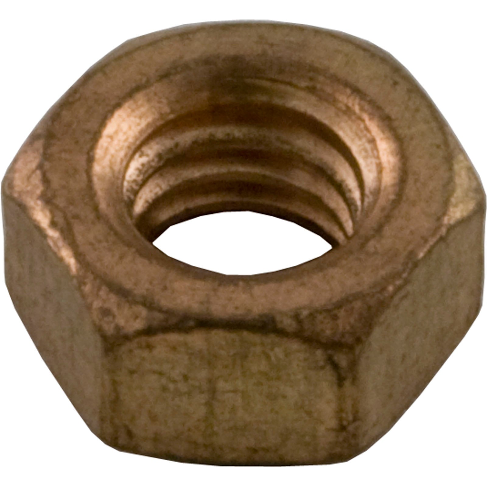 Hex Nut, Pentair Sta-Rite DES/HRS, 5/16-8