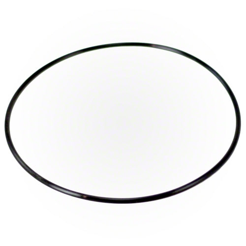 Pentair O-ring 154493