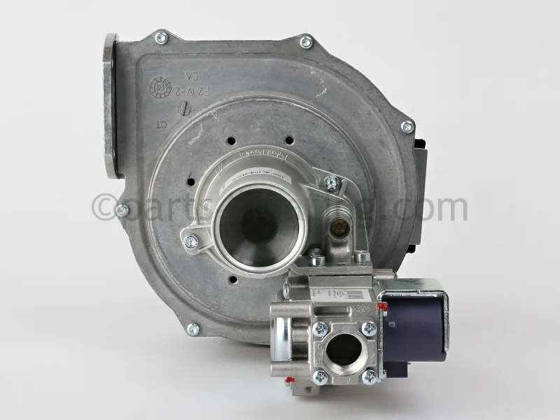 Bradford White EF60T125E3N,243-46009-01Blower with Gas Valve Kit