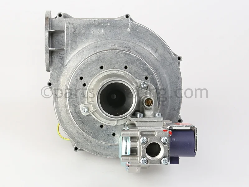 Laars Heating Systems243-46010-02Blower and Gas Valve Assembly (LP) Fits: EF-100T-199, EF-60T-199