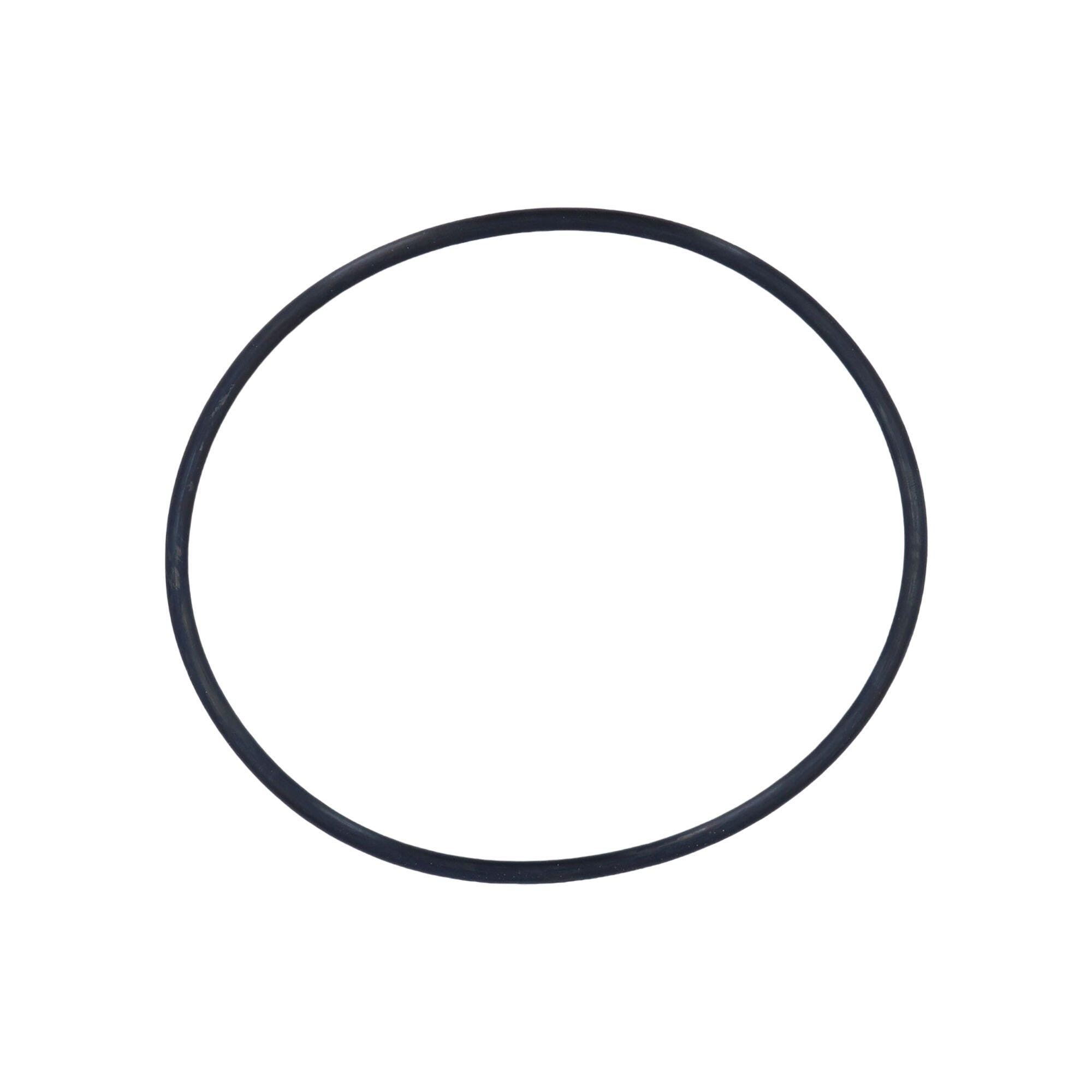 O-Ring,Filter Lid, RAINBOW,RTL/RDC Series,5-7/8"ID x 6-1/4"OD 3/16"Cord Dia,Buna N No.360 ABS BUNA : R172223