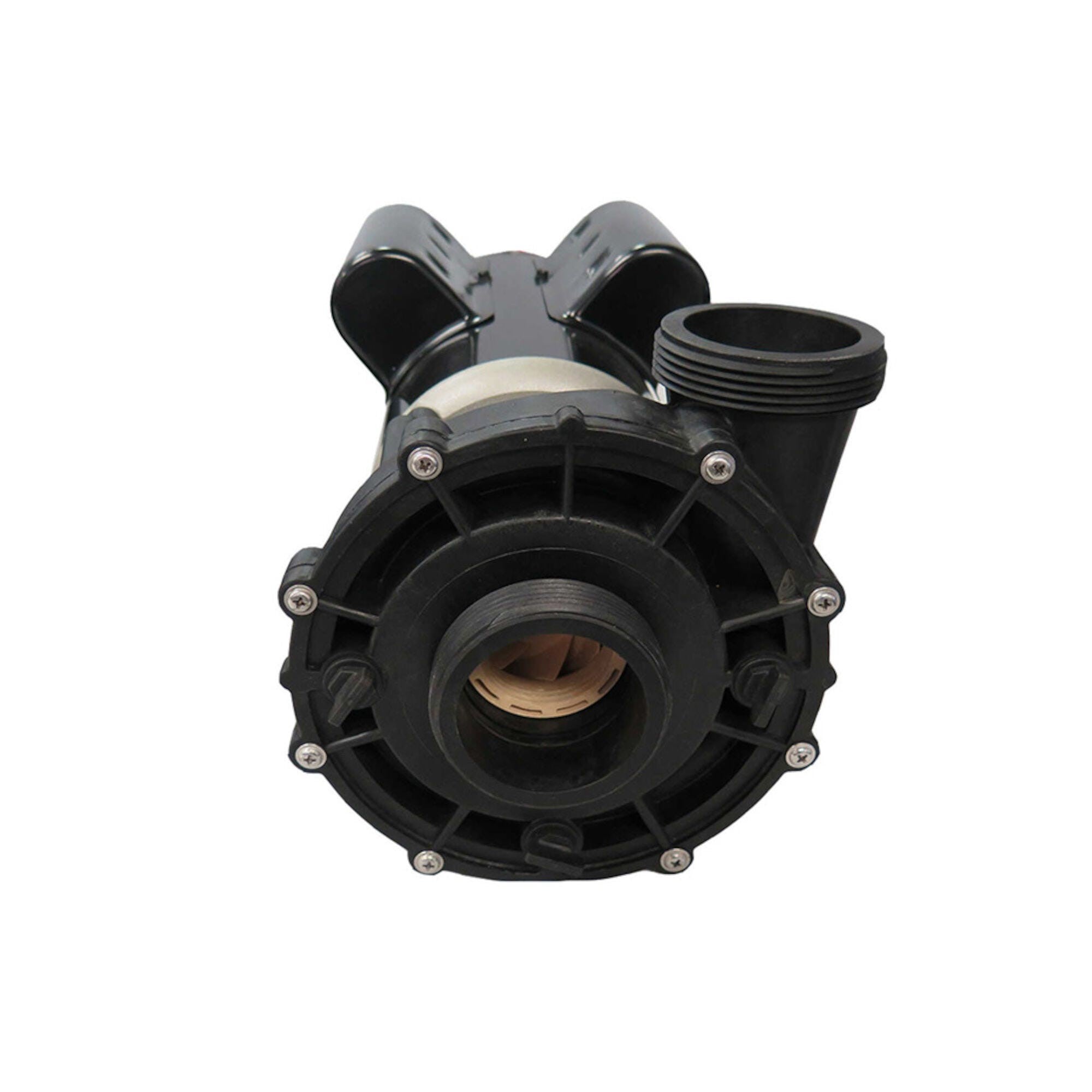 Pump, Sundance, LX Series, 1.5HP, 115V, 2-Speed, 2"MBT, 48-Frame : 6500-845