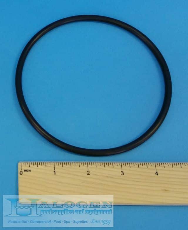 Valve O-Ring