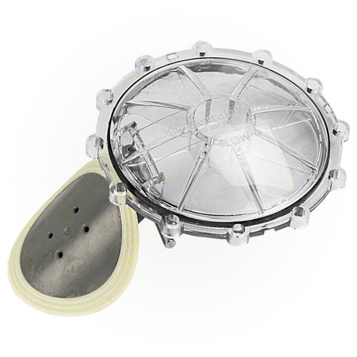 Pentair Check Valve Replacement Kit 270119Z