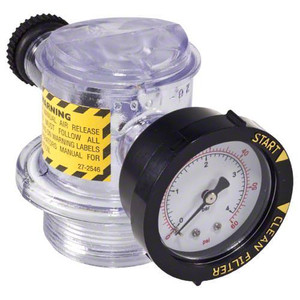 Pentair 8" x 12" x 3.75" Clear Body Manual Air Relief Assembly, 273564Z