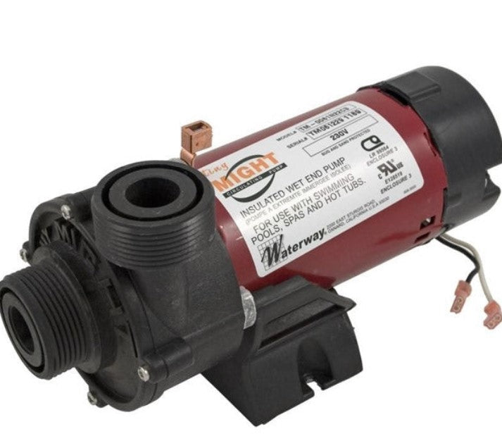 3312620-14 Waterway Tiny Might Circulation Pump, 230V